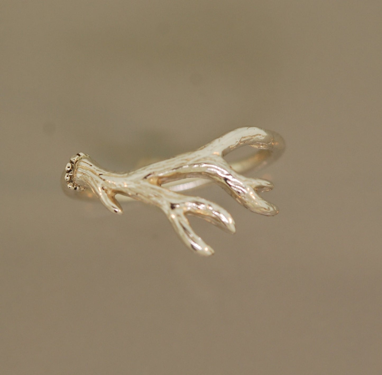 Endeering Antler, Antler Twig Ring